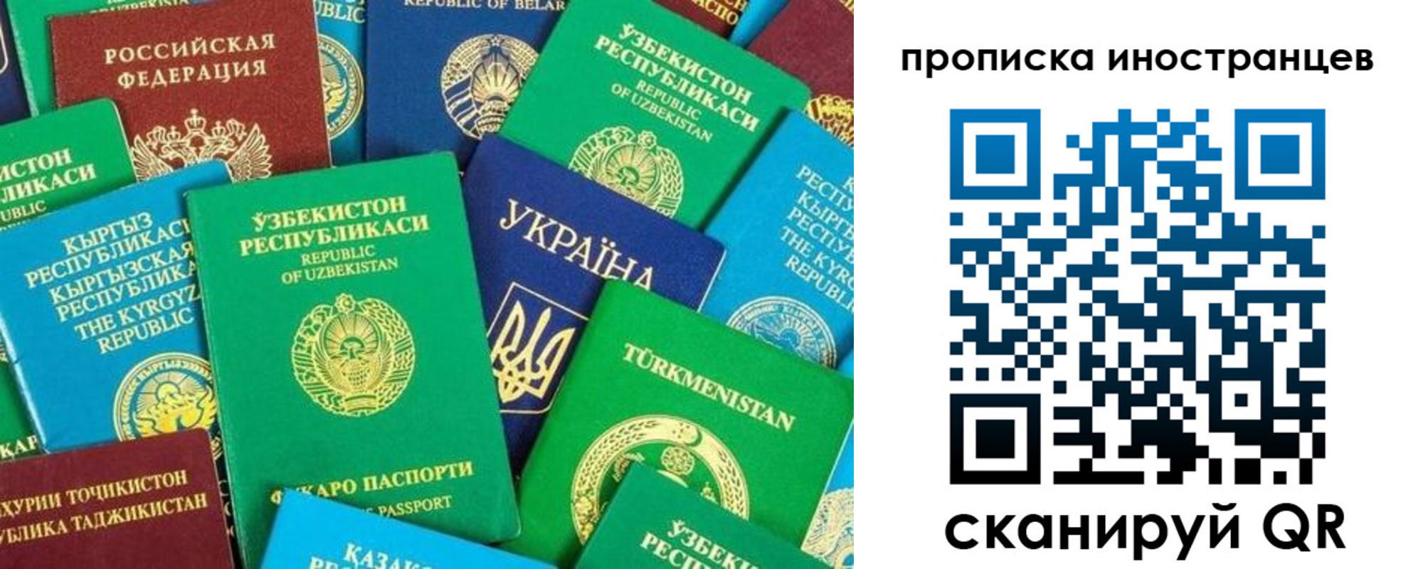 прописка гарантия в Сальске